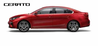 cerato